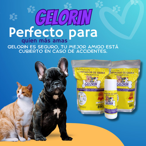 Gelorin-limpiador De Orines Para Mascota