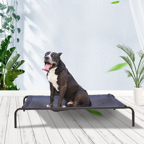 Cama Elevada Altura Para Mascota Perro Gato Talla L - Wuf