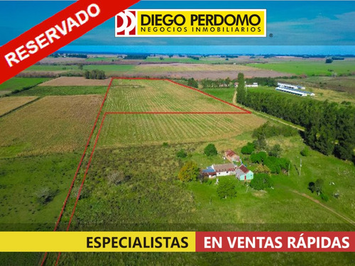 Chacra De 10ha En Venta, Colonia Italia