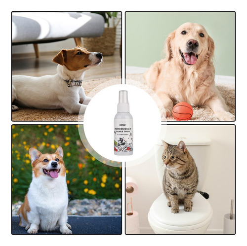 Spray Para Perros Para Aprender A Ir Al Baño Spray No Orinar