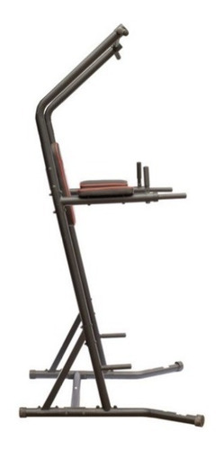 Imagen 1 de 10 de Flexor Abdominal Mas Dominadas Randers Arg-919