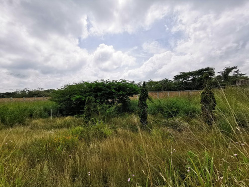 Imagen 6 de 21 de En Venta Terreno Cerca De La Ciudad, En Fraccionamiento Priv