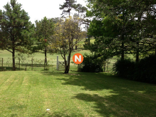 Casa En Venta Y Alquiler, Golf, Punta Del Este, 5 Dormitorios.- Ref: 206361