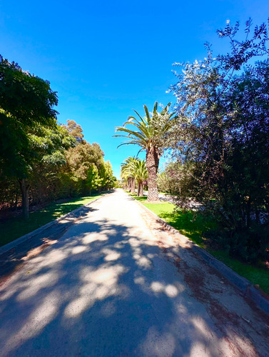 Camino A Lonquén- Av Calera De Tango/condominio Cerrado- 4