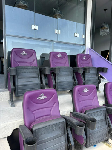Palco En Estadio De Beisbol Conspiradores Querétaro.