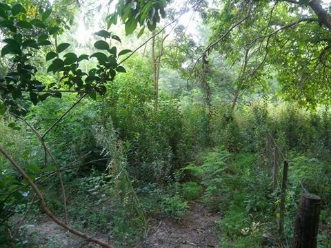 Imagen 3 de 7 de Venta De Lote En Merlo, San Luis