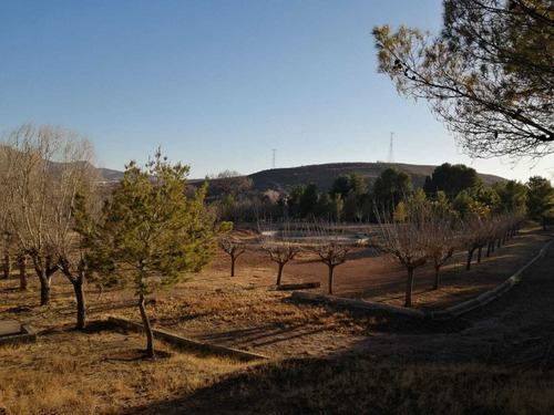 Imagen 10 de 17 de Terrenos En Venta Zona Reliz Chihuahua