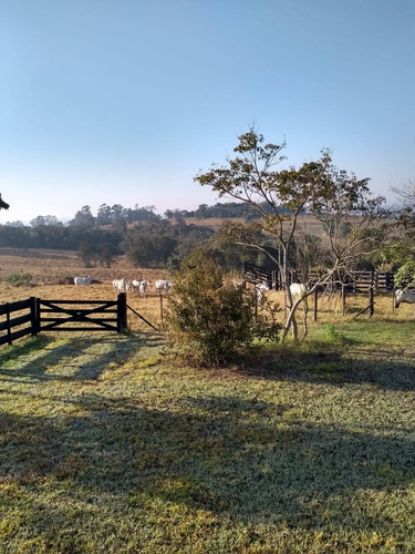 Imagem 14 de 16 de Sítio 14,21 Alqueires, Casa Sede Com 196m2, 3 Dormitórios, 2 Banheiros, Pomar, Divisa Com Rio, Poço Caipira, 400 Arvores De Eucalipto, - St00115 - 70018466