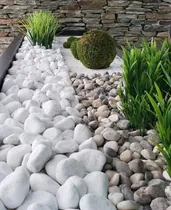 Comprar Piedras Decorativas Para Jardín 