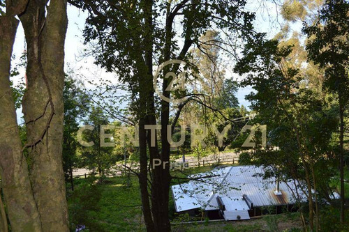 Imagen 3 de 5 de Se Vende Gran Terreno Comercial Y/o Habitacional En Villa...