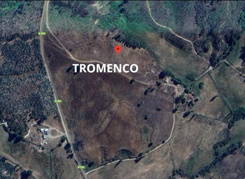 Remate De Fundos En Traiguén (region De La Araucania)
