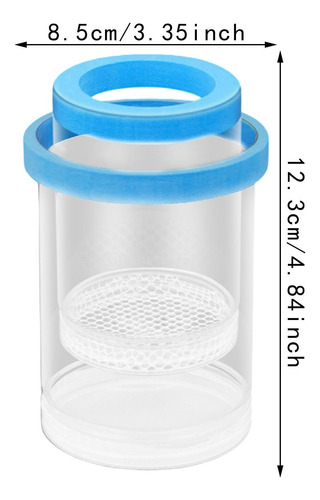 Incubadora De Aquário Peixe Que Desova Incubadora De Azul