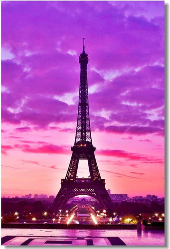 Hommomh 60 X 80 Manta Confort Calidez Suave Torre Eiffel Pai