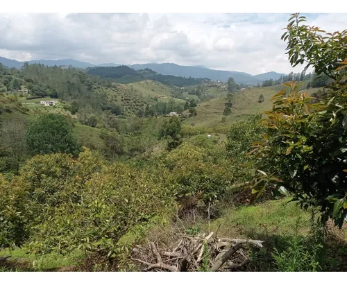 Lote En Venta Proyecto De Parcelación En El Retiro, Vía Pantanillo