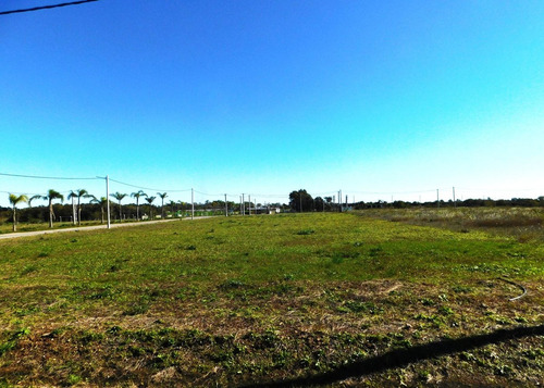 Venta Lote En El Lazo En Exaltacion De La Cruz