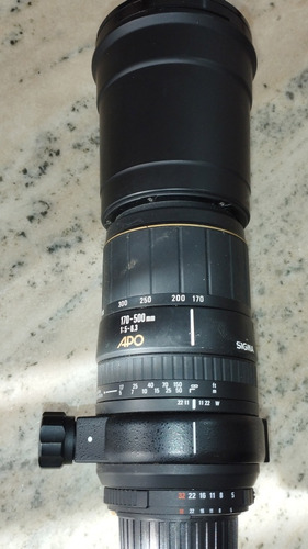 Sigma 170-500 Apo 