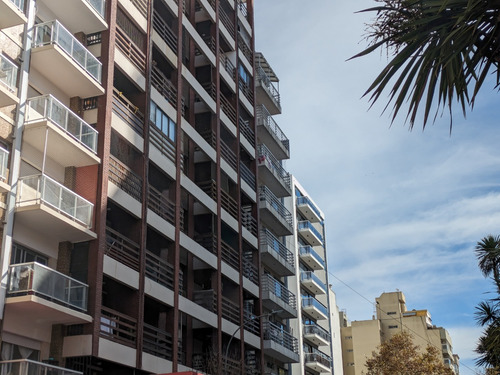 En Alquiler Departamento De 3 Ambientes Con Balcón Saliente. Barrio La Perla.