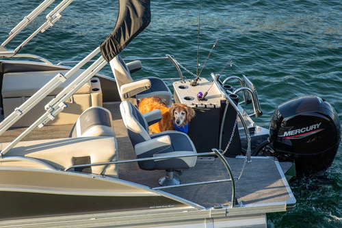 Barletta Pontoons Party Boats 2025's Armalo A Tu Gusto !