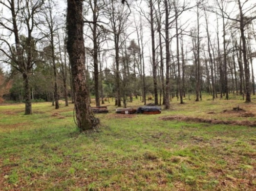 Venta! 2 Parcelas De 5000 Mts2 C/u En Sector Huite Los Lagos