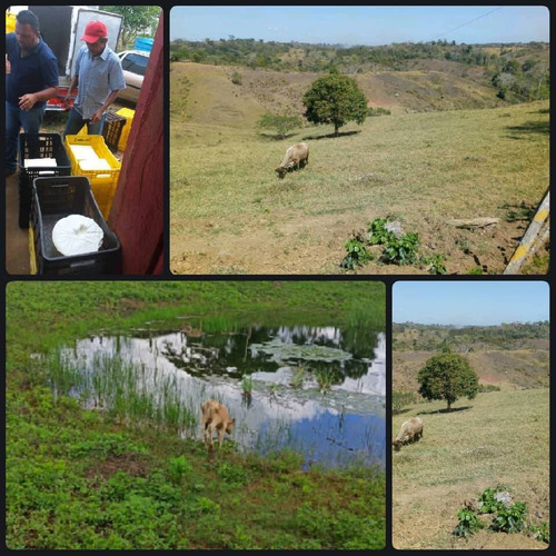 Imagen 8 de 14 de Finca En Venta En San Juan De Los Cayos