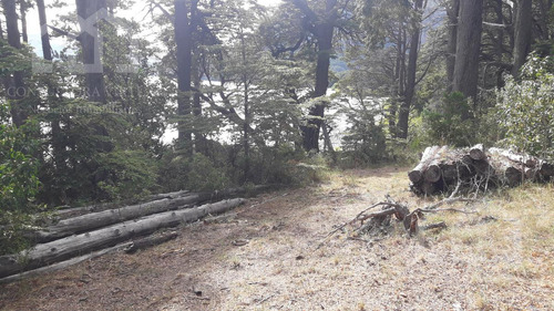 Importante Fracción Costa De Lago En Villa La Angostura Zona Brazo Huemul