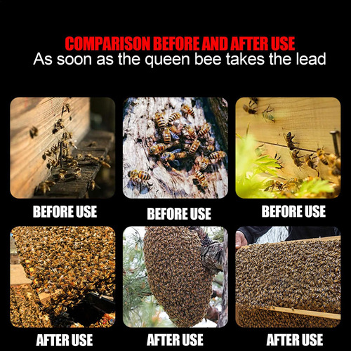 Atrayente De Abejas Atrayente De Abejas Para Jardín Bálsamo