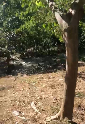 Terreno En Venta En Hualauises Nuevo León