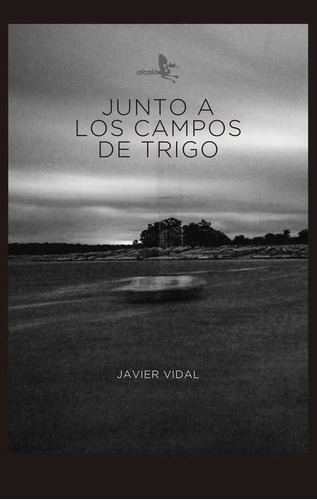 Junto A Los Campos De Trigo - Javier Vidal