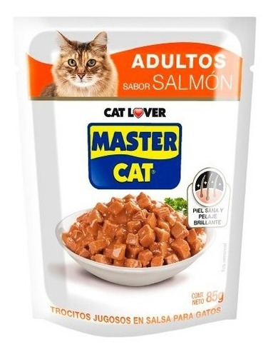 20 Sachet Master Cat Salmon 85 Gr / Catdogshop
