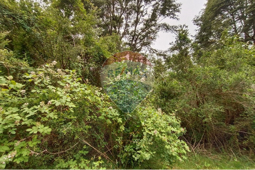 Gran Terreno 5.5 Ha Cercano Al Pueblo De Mafil