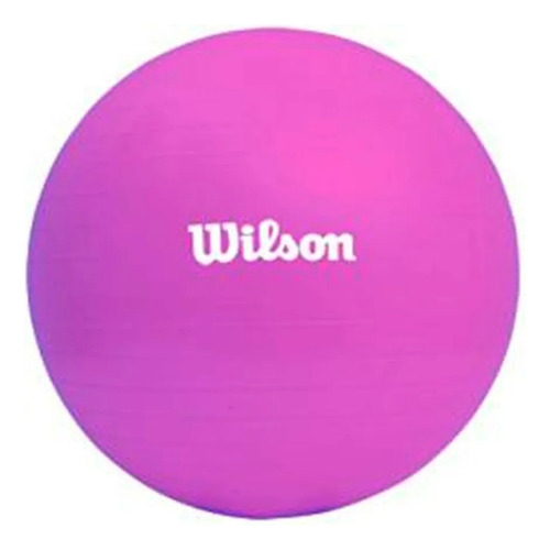 Pelota Yoga Pilates Wilson 55cm Con Bomba