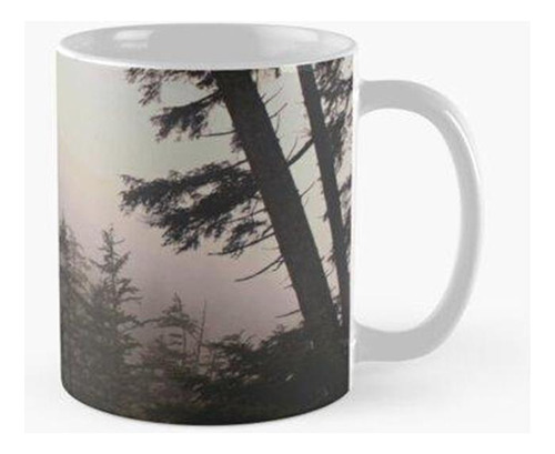 Taza Bosque Costero De Oregon Calidad Premium