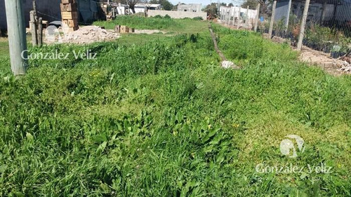 Imagen 3 de 4 de Terreno En Venta