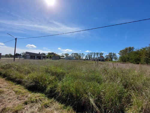 Lote De Gran Dimension En Zona De Quintas