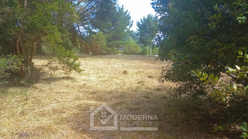 Parcela 6000 M2 En Condominio Con Derecho A Bajada Al Lago