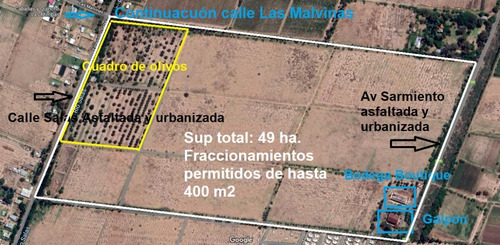 Bodega Boutique Y Finca En San Rafael. Terreno Apto Para Loteo De 650 Lotes De 400 M2 C/u. Alquiler De Tierra Para Pasto O Ajo. Oportunidad Para Invertir En San Rafael, Mendoza.