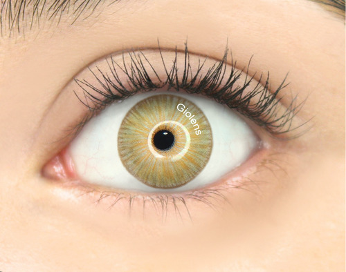 Lentes De Contacto Giolens Gaga R.brown Graduado Dura 1 Año Color -1.50