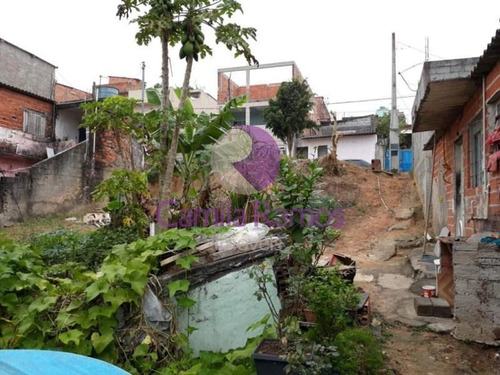 Imagem 6 de 6 de Terreno À Venda, Residencial Novo Horizonte, Mogi Das Cruzes/sp. - Te0120 - 68333869