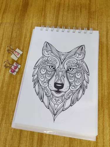 Vamos Colorir o Wolfoo, Pintar e Colorir