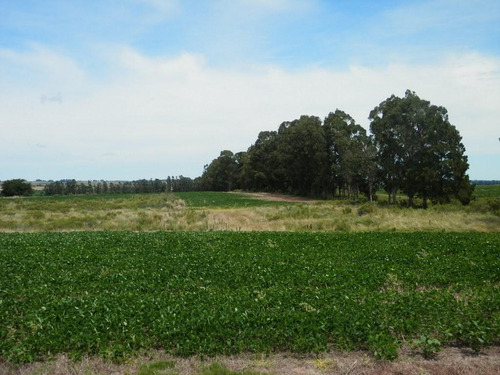 Solis De Mataojo 183ha Agr-gan Sobre Ruta 8