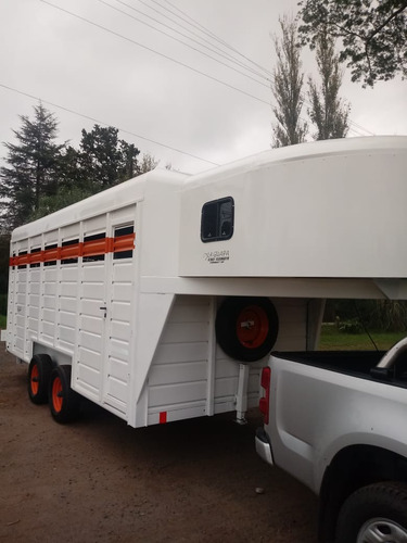 Salto Silla Argentino