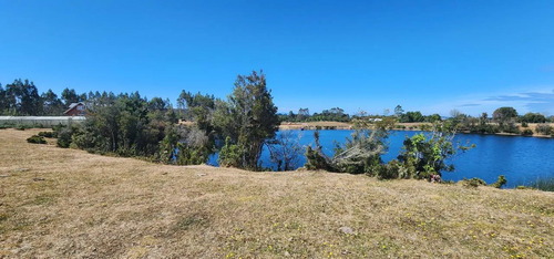 Venta Terreno-sitio  Sector Rulo En Calbuco