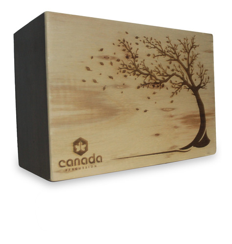 Cajon De Colo Acústico Com Esteira Canada Percussion