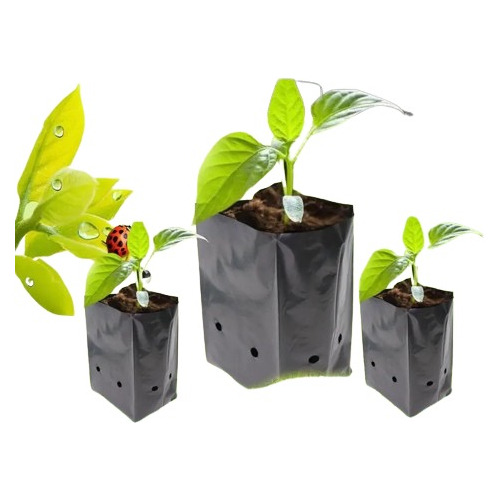 Bolsas Plantas Almácigos 14x23 Kit 100 Unidades Green World 