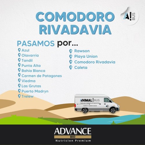 Traslado De Mascota A Comodoro Rivadavia Todo El Año