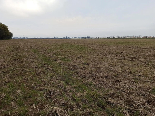 Terreno Agrícola En Venta, Campo De 21 Ha, San Clemente