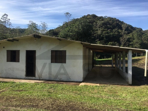 Imagem 8 de 14 de Fazenda Produtiva Com Aprox. 60 Mil Metros De Área Aberta, Cercada Por Mata Nativa E Belezas Naturais. Possuí 600 Pés De Amora Negra + 900 Frutíferas! - 176 - 69951742