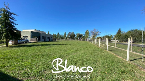Imagen 2 de 11 de Oportunidad! Gran Lote De 785 Metros En Pilar Del Este - Santa Guadalupe
