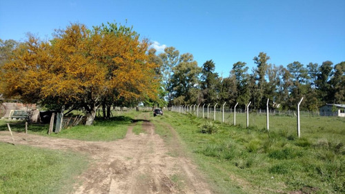 Imagen 4 de 7 de Terreno En La Lonja Muy Bien Ubicado