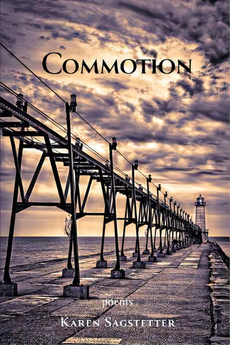 Commotion, De Sagstetter, Karen., Vol. 1. Editorial Finishing Line Pr, Tapa Blanda En Inglés